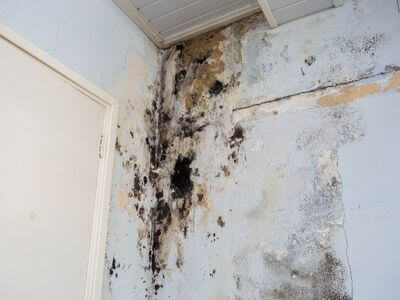 About water damage cleanup - ceiling water damage repair experts in Franklin